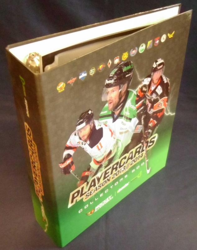 1st Pärm, Hockeyallsvenskan 2013-14