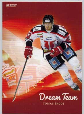 2013-14 SHL s.2 Dream Team #12 Tomas Skogs Örebro Hockey