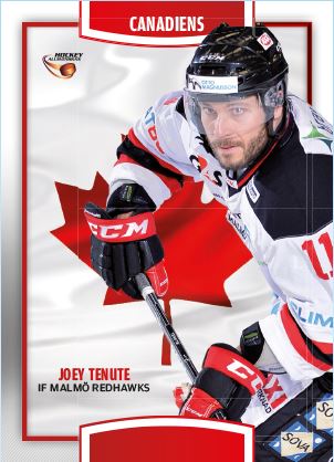 CANADIENS, 2013-14 HockeyAllsvenskan #HA-CA04 Joey Tenute