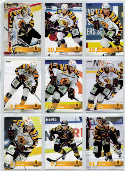 Teamset Skellefteå AIK SHL 2013-14 serie 1 