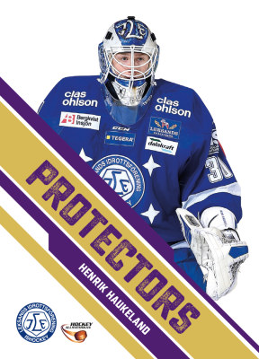 Protectors 2015-16 HockeyAllsvenskan #PR06 Henrik Haukeland