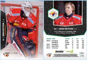 Teamset, 2013-14 HockeyAllsvenskan, DJURGÅRDENS IF