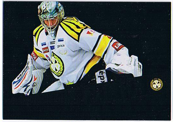 2010-11 SHL s.2 Painted Warriors #02 Thomas Greiss Brynas IF