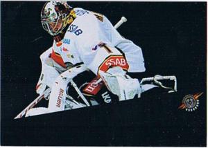 2010-11 SHL s.2 Painted Warriors #08 David Rautio Lulea HC