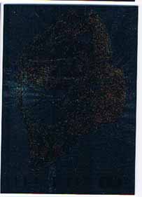 Hannu Toivonen 2006-07 Between The Pipes The Mask #M27