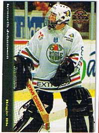 1994-95 SHL Leaf s.2 Grundset #161-320