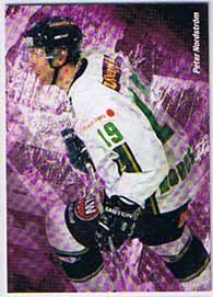 2007-08 SHL s.1 Complete Players #05 Peter Nordström, Färjestads BK