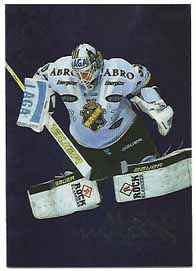 2011-12 SHL s.2 Masked Marauders #01 Viktor Fasth AIK