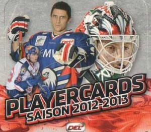 1st Paket 2012-13 DEL, Tyska Ligan