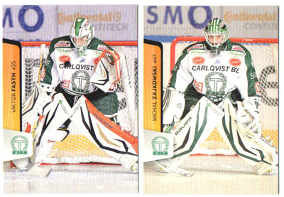 2012-13 Hockeyallsvenskan Teamset TINGSRYDS AIF