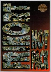 1995-96 Swedish Leaf Frikort HOT PACK (Håkan Loob)