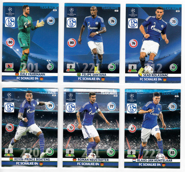 Teamset, 2014-15 Adrenalyn Champions League, FC Schalke 04