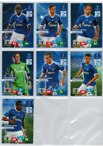 Base cards FC Schalke 04, 2013-14 Adrenalyn Champions League, Pick from list