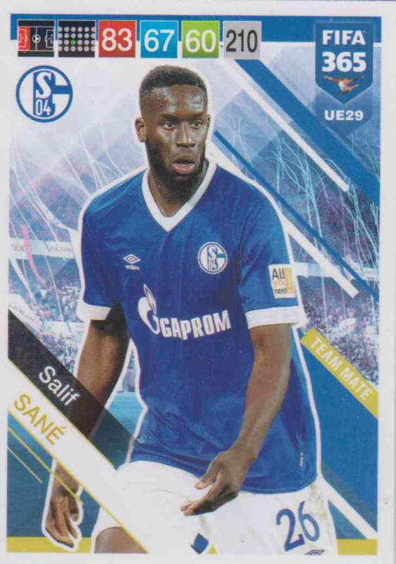 Adrenalyn XL FIFA 365 2019 UPDATE #029 Saif Sané (FC Schalke 04)  Team Mate