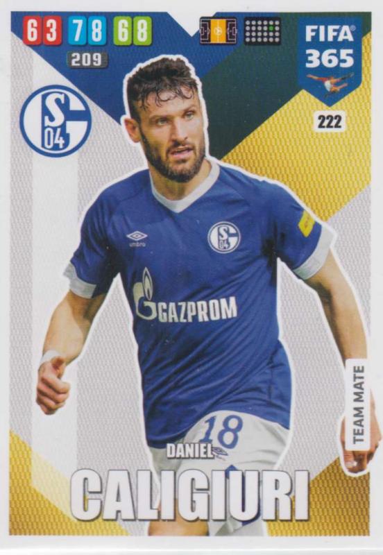 Adrenalyn XL FIFA 365 2020 - 222 Daniel Caligiuri  - FC Schalke 04 - Team Mate