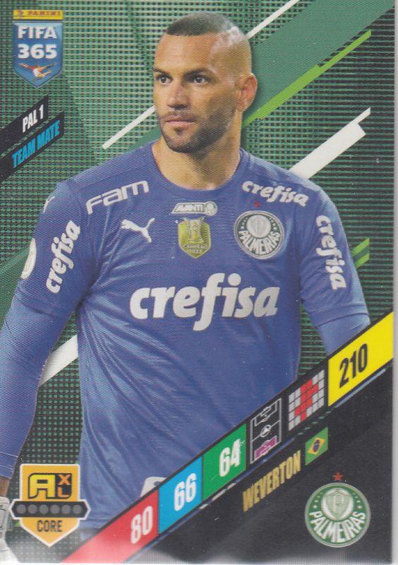 FIFA24 - 028 - Weverton (SE Palmeiras) [PAL 1]