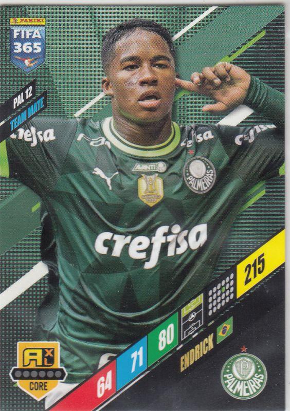 FIFA24 - 039 - Endrick (SE Palmeiras) [PAL 12]