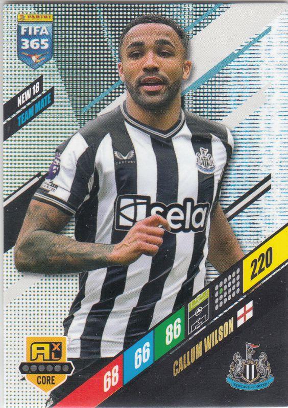 FIFA24 - 135 - Callum Wilson (Newcastle United) [NEW 18]