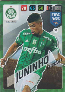 FIFA365 17-18 036 Juninho - Team Mate - Palmeiras
