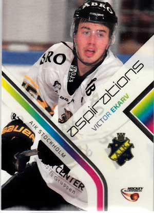 Aspirations, 2014-15 HockeyAllsvenskan, #AS01 Victor Ekarv AIK