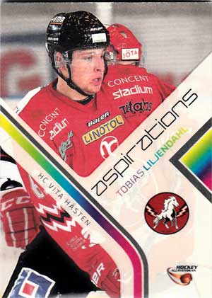 Aspirations, 2014-15 HockeyAllsvenskan, #AS14 Tobias Liljendahl HC Vita Hästen
