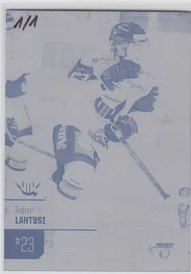 HockeyAllsvenskan 2014-15, Press Plates, Robert Lantosi, VIK Västerås HK