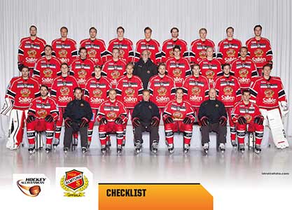 Teamset, 2014-15 HockeyAllsvenskan, Almtuna IS