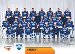 Teamset, 2014-15 HockeyAllsvenskan, BIK Karlskoga