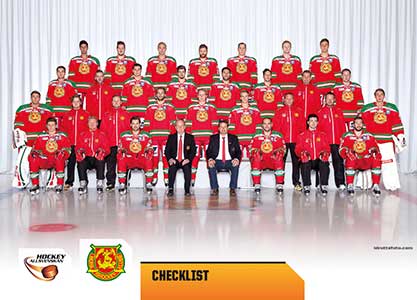 Teamset, 2014-15 HockeyAllsvenskan, Mora IK