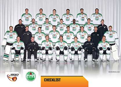 Teamset, 2014-15 HockeyAllsvenskan, Rögle BK