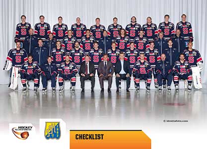 Teamset, 2014-15 HockeyAllsvenskan, Södertälje SK