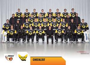 Teamset, 2014-15 HockeyAllsvenskan, VIK Västerås HK