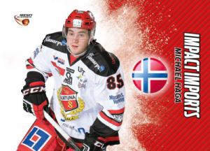 Impact Imports 2015-16 HockeyAllsvenskan #II02 Michael Haga