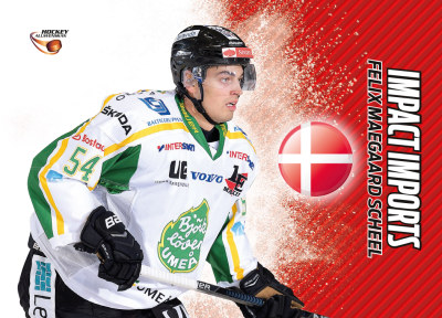 Impact Imports 2015-16 HockeyAllsvenskan #II08 Felix Maegard Scheel