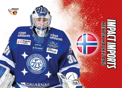 Impact Imports 2015-16 HockeyAllsvenskan #II10 Henrik Haukeland