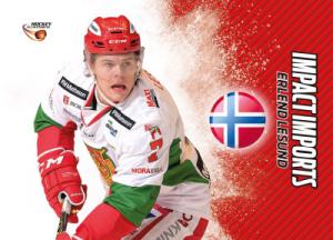 Impact Imports 2015-16 HockeyAllsvenskan #II14 Erlend Lesund