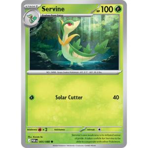 ME03 - Perfect Order - 005/088 - Servine - Common