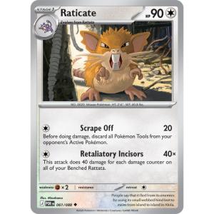 ME03 - Perfect Order - 061/088 - Raticate - Uncommon Reverse