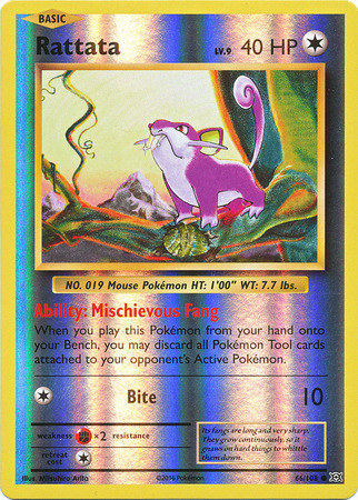 XY12 Evolutions, Rattata - 66/108 - Common Reverse Holo