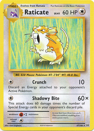 XY12 Evolutions, Raticate - 67/108 - Rare