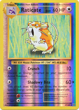 XY12 Evolutions, Raticate - 67/108 - Rare Reverse Holo