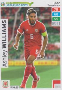 Adrenalyn XL Road to UEFA EURO 2020 #227 Ashley Williams (Wales) - Team Mate
