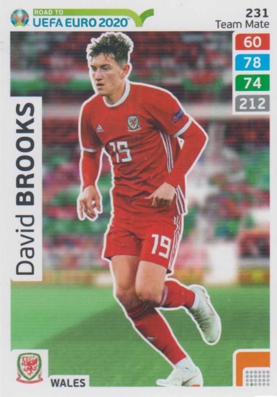 Adrenalyn XL Road to UEFA EURO 2020 #231 David Brooks (Wales) - Team Mate