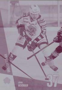 SHL Press Plate, Base, John Norman Skellefteå AIK (Case topper)