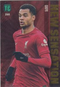 Top Class - 260 - Cody Gakpo (Liverpool) - New Sensation