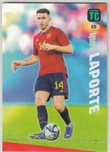 Top Class 2024 - 025 - Aymeric Laporte (Spain) - Base