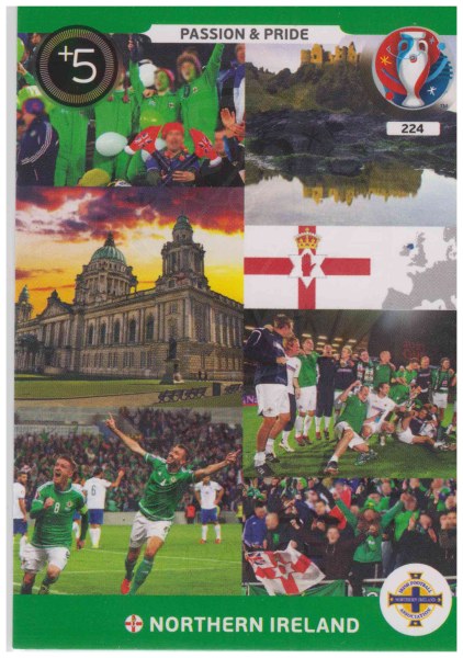 Adrenalyn XL UEFA Euro 2016, Passion & Pride, #224, Northern Ireland