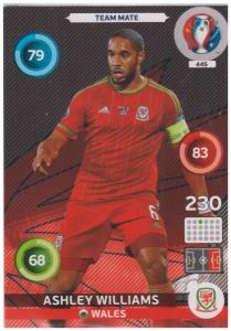 Adrenalyn XL UEFA Euro 2016, Team Mate, #445, Ashley Williams
