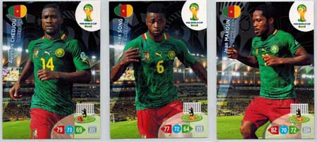 Teamset, 2014 Adrenalyn World Cup, Kamerun 