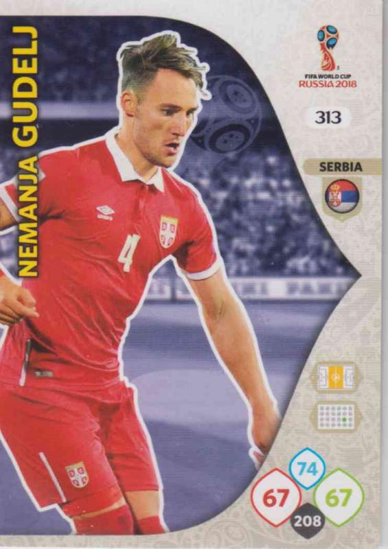 WC18 - 313  Nemanja Gudelj (Serbia) - Team Mates
